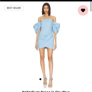 Elliatt Dress.  Worn once. Dry cleaned.